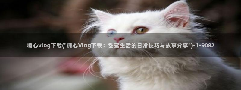 国产糖心vlog柚子猫