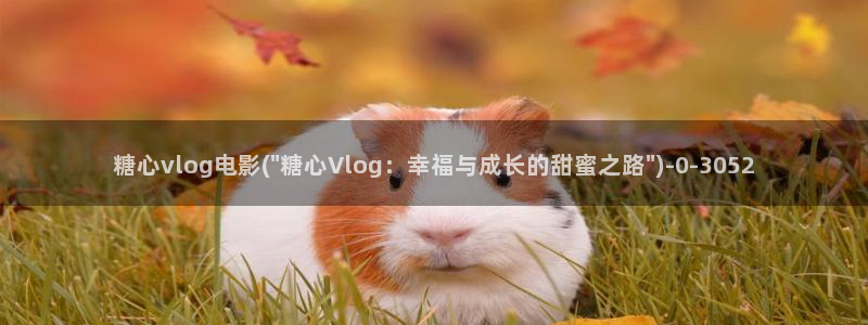 iOS 糖心vlog