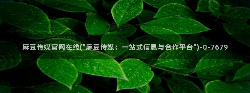 麻豆视频更新更新