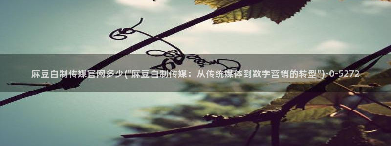 麻豆 官方专区：麻豆自制传媒官网多少(\