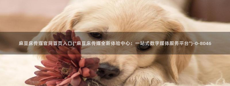 麻豆完整版更新：麻豆床传媒官网首页入口(\