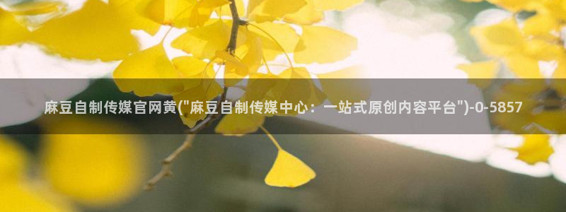 麻豆视频 推荐推荐：麻豆自制传媒官网黄(\