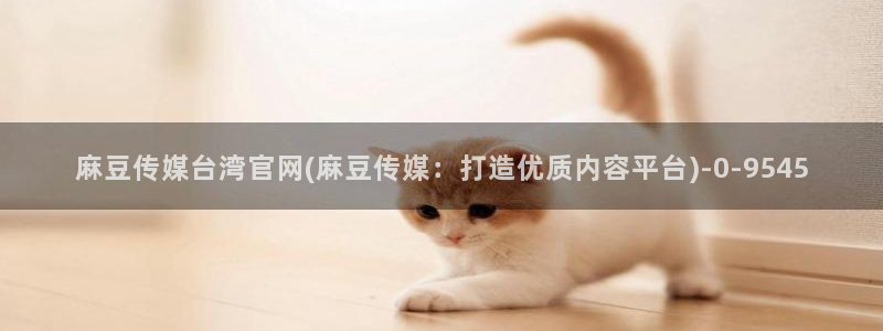 麻豆入口完整版：麻豆传媒台湾官网(麻豆传媒：打造