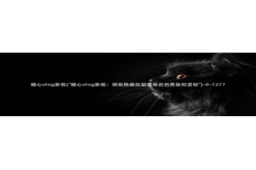 糖心vlog摄影师：糖心vlog影视(\