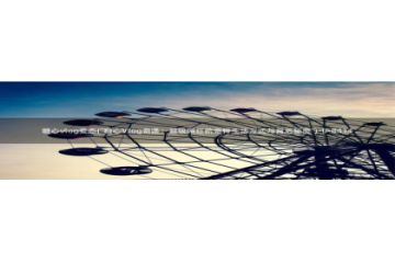 糖心vlog网站免费：糖心vlog变态(\