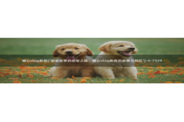 糖心vlog网盘资源：糖心vlog影视(\