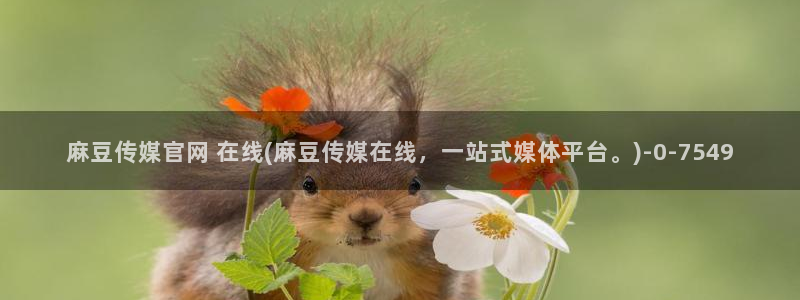 麻豆视频资源合集：麻豆传媒官网 在线(麻豆传媒在线，一站