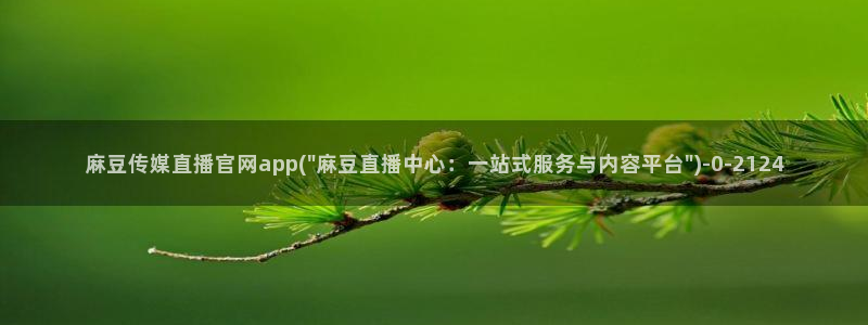 麻豆更新合集