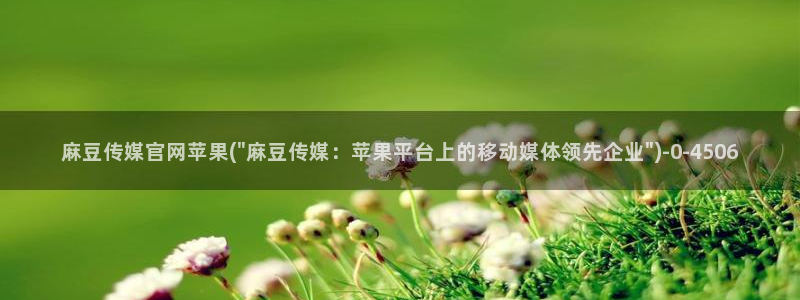 麻豆视频 系列视频
