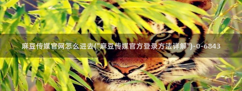 麻豆视频短片页面