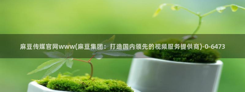 麻豆视频 入口