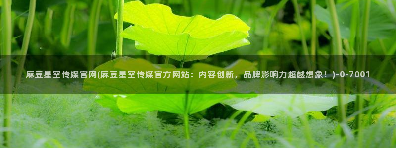 麻豆视频 下载视频