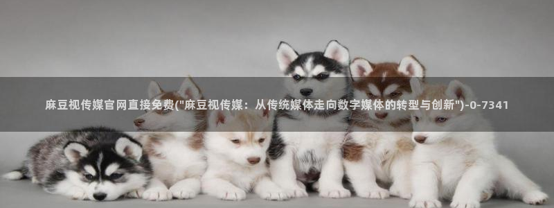 麻豆精选视频