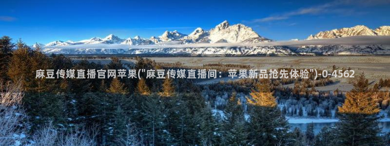 麻豆视频精选专区：麻豆传媒直播官网苹果(\