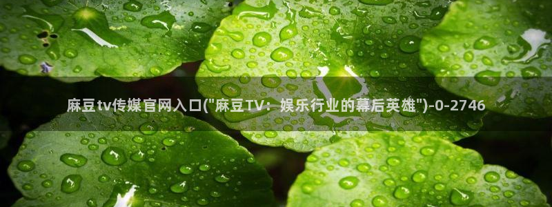 麻豆 入口视频