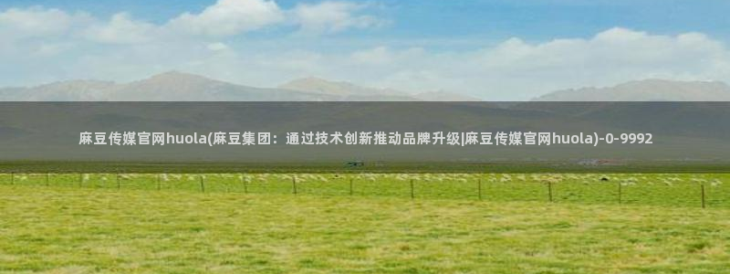 麻豆视频系列视频：麻豆传媒官网huola(麻豆集