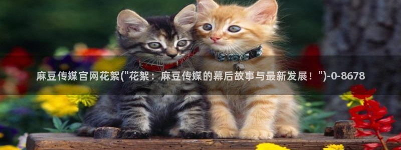 麻豆视频 系列下载：麻豆传媒官网花絮(\