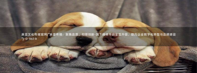麻豆视频 入口入口：麻豆文化传媒官网(\