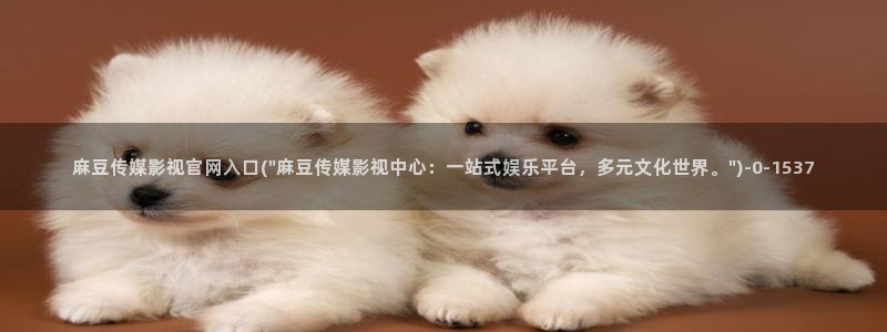 麻豆 精选在线看