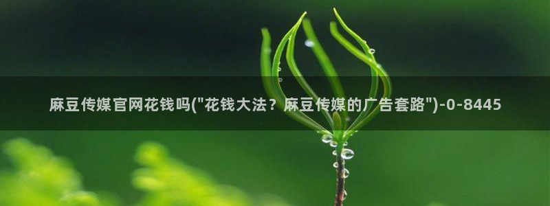 麻豆视频 完整版：麻豆传媒官网花钱吗(\